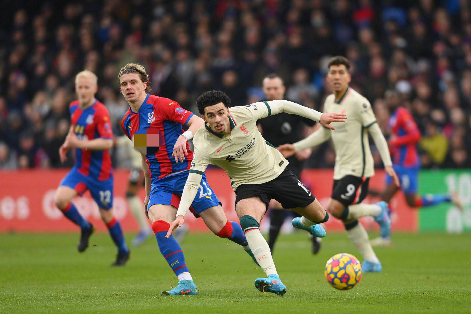 队带来佳绩 队带来佳绩